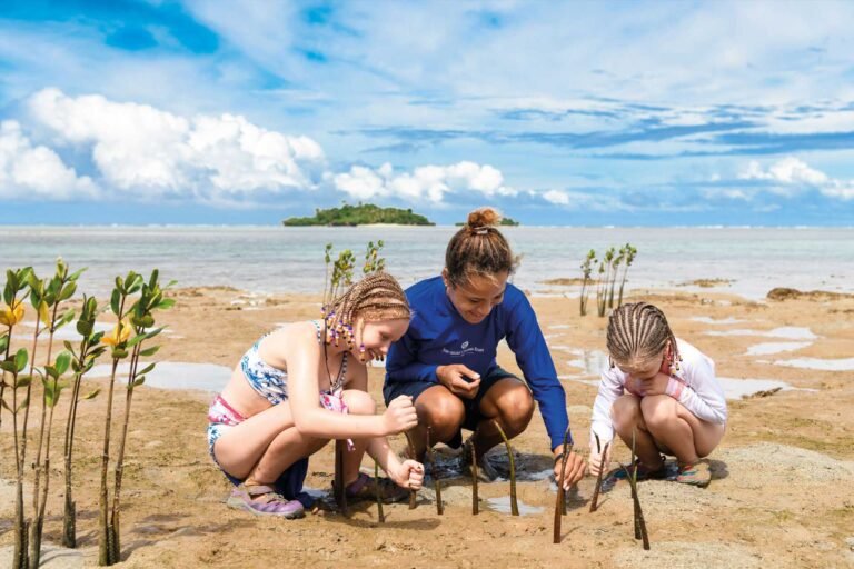 2-Eco-Friendly-Resort