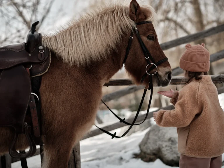 A child on horseback rides along a snow-covered trail at Sonnwies in winter, led by a riding instructor in a high-vis jacket through a forest of snow-laden conifers.
