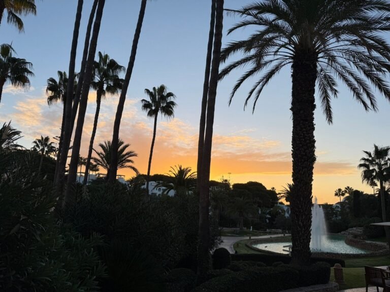 Palms silhouetted at sunset over a fountain pond at Vila Vita Parc