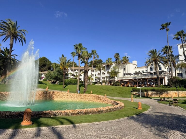 Garden fountain lake with palms and clear sky at Vila Vita Parc
