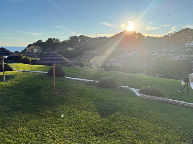 Garden lawn with palms and fountain lake under blue sky, Vila Vita Parc