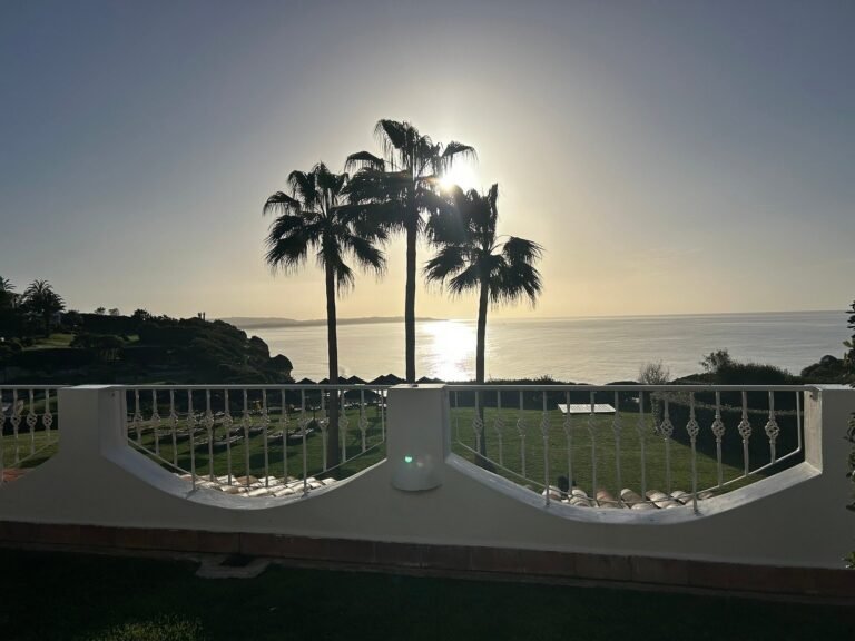 Three palms silhouetted against the Atlantic at sunset from a balcony, Vila Vita Parc