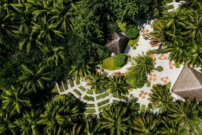 Botanica garden restaurant second angle at One&Only Reethi Rah, tropical planting and dining tables