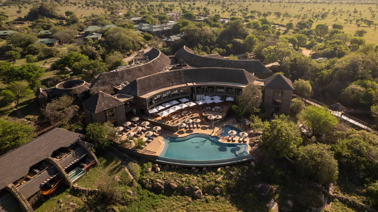 Infinity pool overlooking the Serengeti waterhole at Four Seasons Safari Lodge