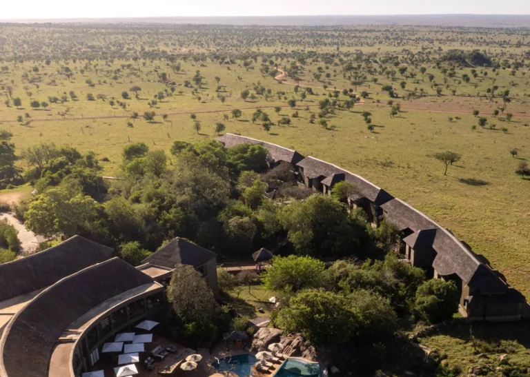 Lodge pool and infinity edge at Four Seasons Safari Lodge Serengeti