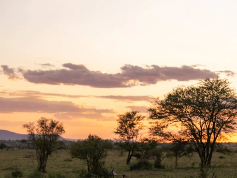Room interior with savannah view at Four Seasons Serengeti