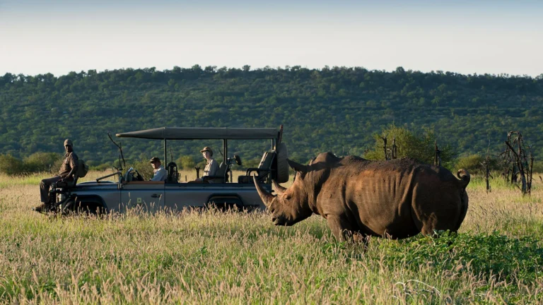 Morukuru Family Madikwe