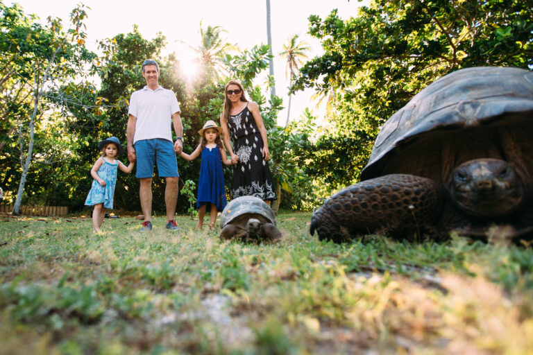 North Island, Seychelles — Conservation family with Aldabra Giant Tortoise