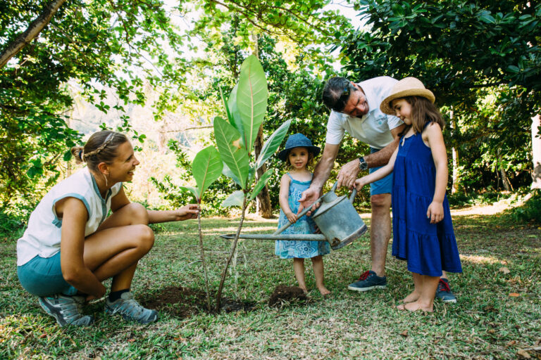 North Island, Seychelles — Conservation family planting indigineous tree