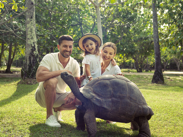 North Island, Seychelles — Experience the Island family with Aldabra Giant Tortoise