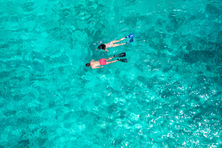 North Island, Seychelles — Activities Edited snorkeling
