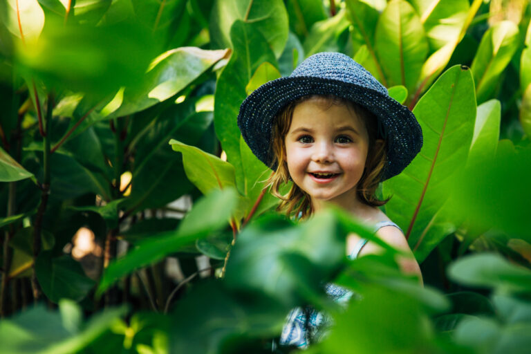 North Island, Seychelles — Conservation child in plants