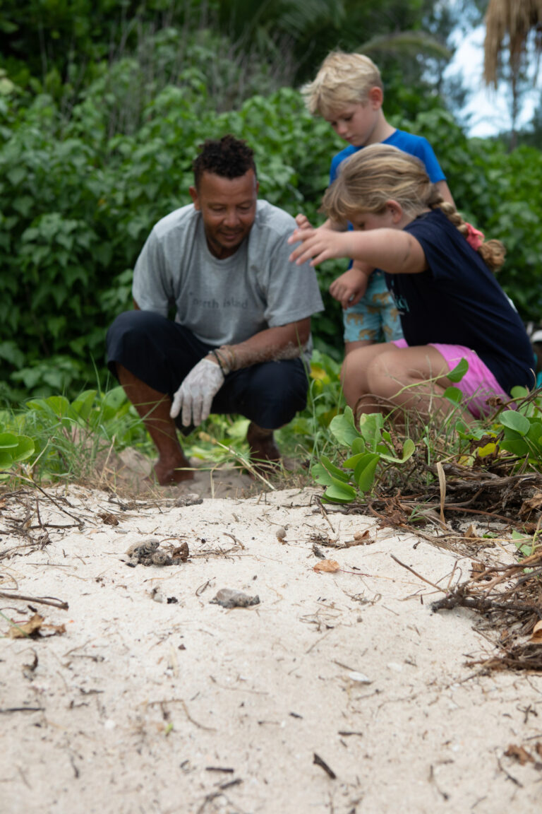 North Island, Seychelles — Conservation children learning about turtle nests