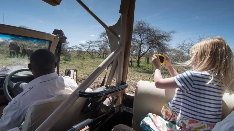 Young guest photographing elephants from the game-drive vehicle