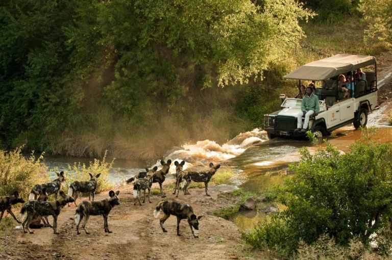 Morukuru Family Madikwe lodge in Madikwe Game Reserve, South Africa