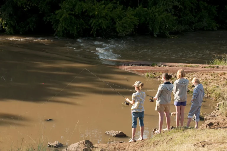Morukuru Family Madikwe lodge and bush surroundings, Madikwe Game Reserve