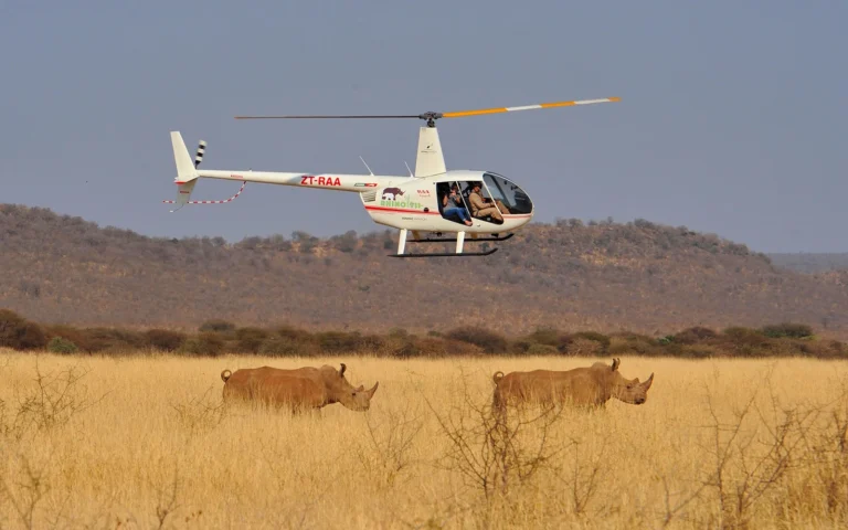 Morukuru Goodwill Foundation rhino conservation work in Madikwe Game Reserve