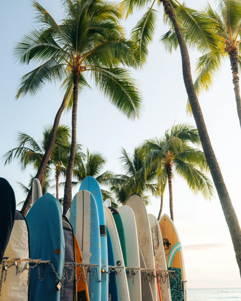 Row of colourful surfboards racked at the Ko Olina beach at sunrise with tall palm trees against a bright sky