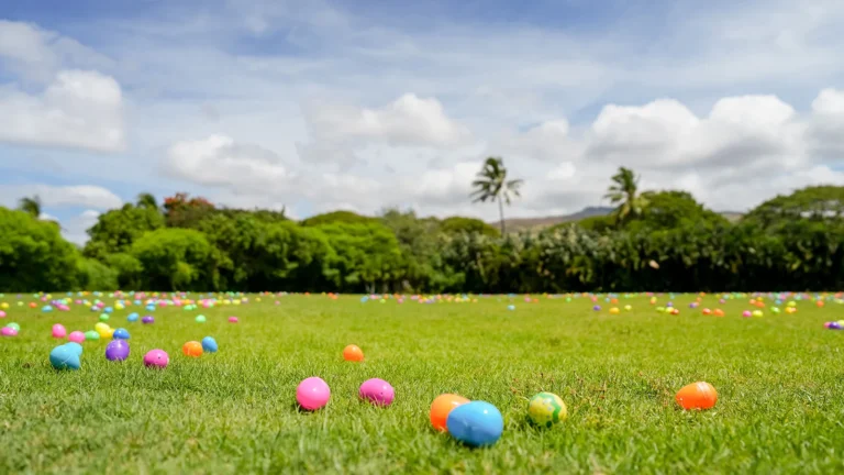 Hundreds of colourful Easter eggs scattered across the resort lawn for the annual Easter egg hunt at Four Seasons Oahu