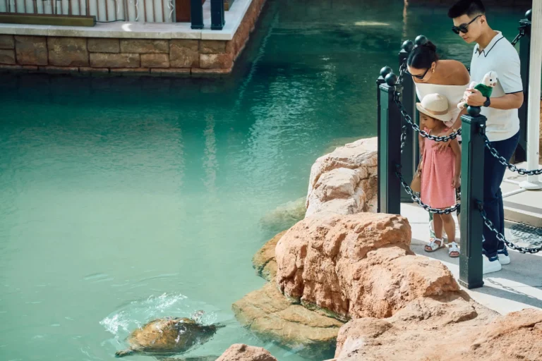 Father and mother holding their young daughter in a pink dress and sun hat as they watch a rescued sea turtle glide through the crystal-clear Turtle Rehabilitation Lagoon at Jumeirah Al Naseem
