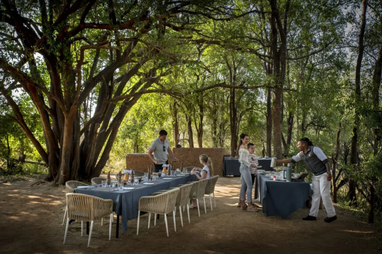 Bush breakfast in Madikwe Game Reserve at Morukuru Family Madikwe