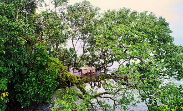 Treetop dining experience at Nanuku Resort Fiji set among tropical canopy