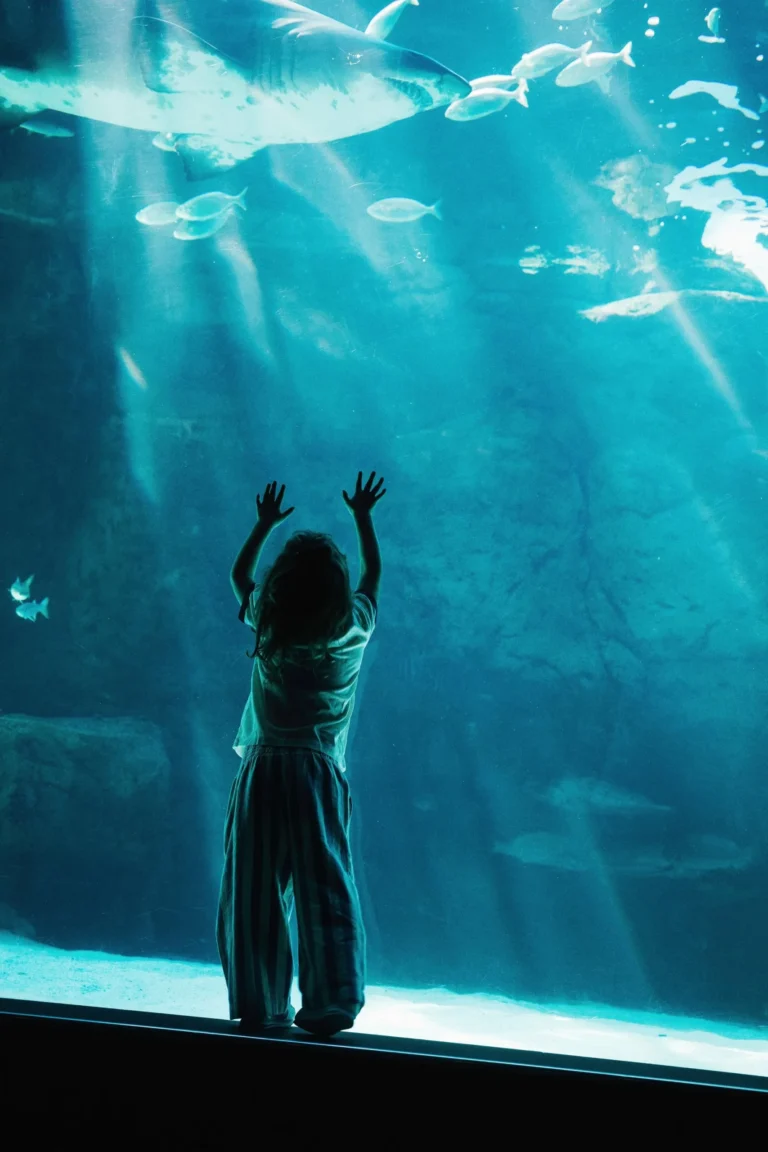Child visiting the Two Oceans Aquarium