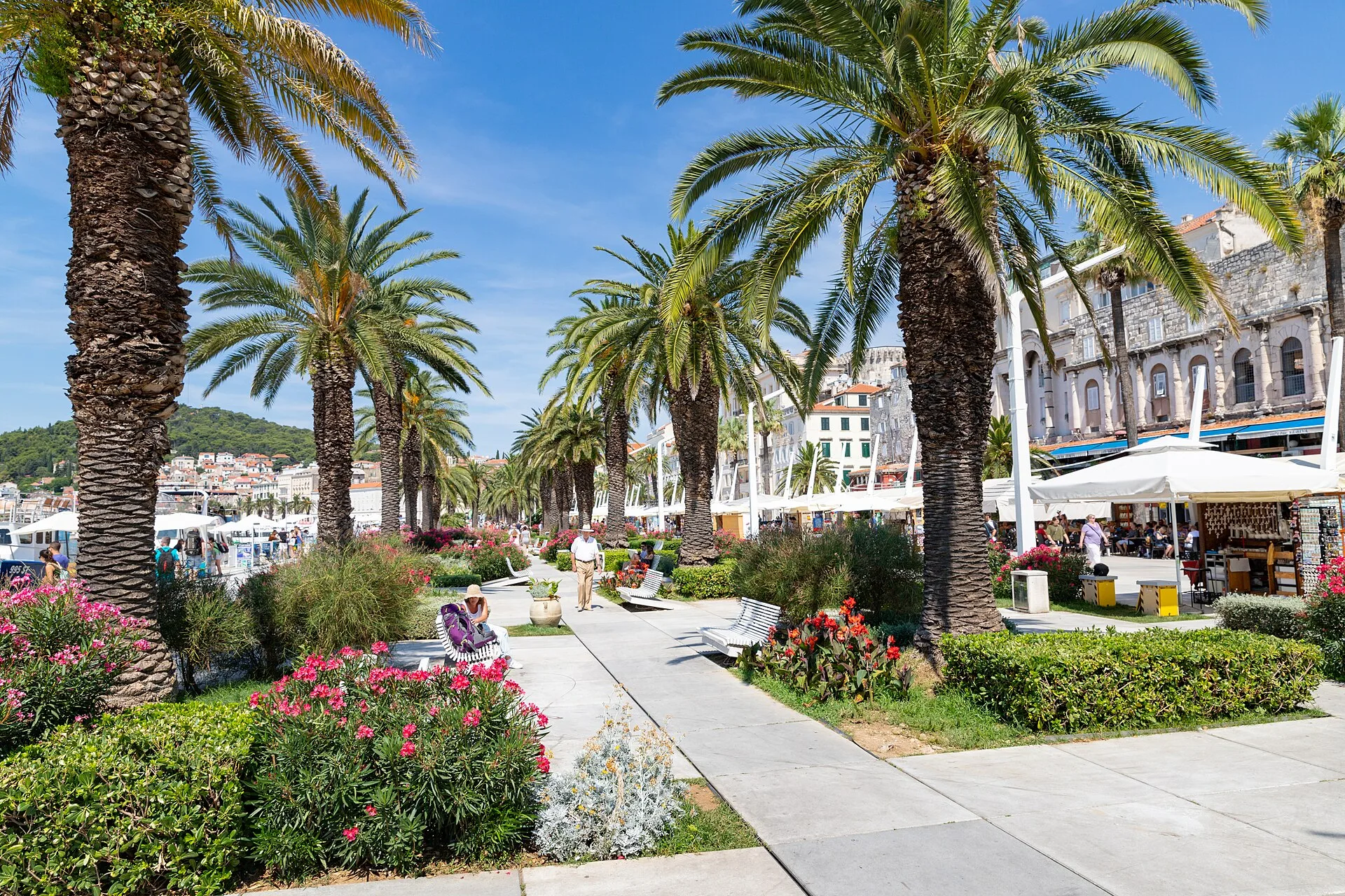 Palm-lined Riva waterfront promenade in Split, Croatia, with Diocletian's Palace facade and flowering gardens
