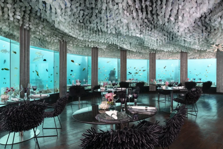 Dining room at Nest with a staff member attending a table