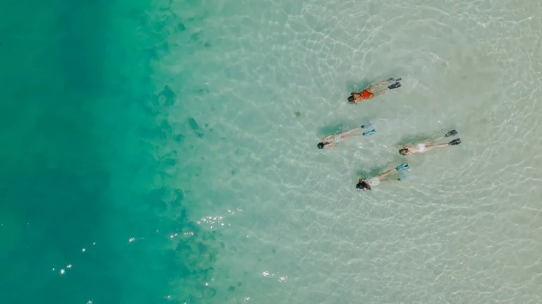 Guests snorkelling near Starfish Point