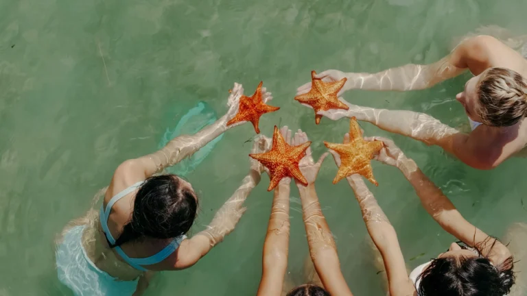 Guests viewing starfish in shallow water