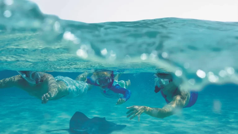 Family-friendly snorkelling and stingray experience