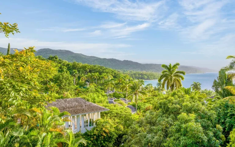 Hillside view over a villa roof, palms, the bay and the mountains