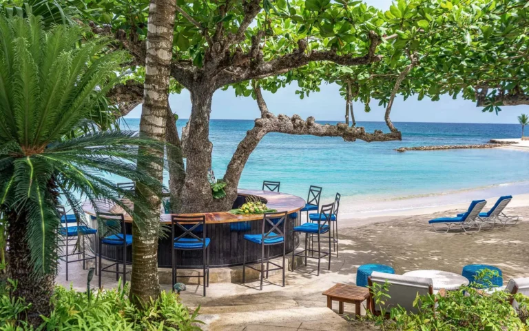 Circular beach bar with blue stools under a shady tree on the sand