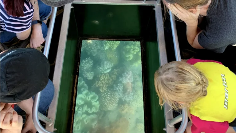 Children in life jackets looking down through a glass-bottom boat panel at coral