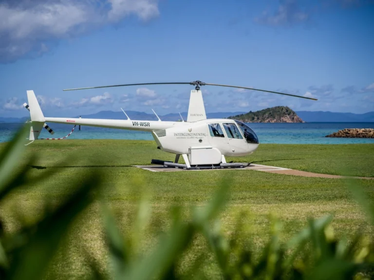 A white helicopter parked on a lawn beside the sea