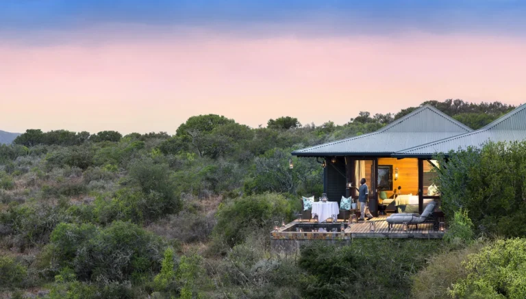 A suite deck at Kwandwe Ecca Lodge seen from the bush, set low in the thicket