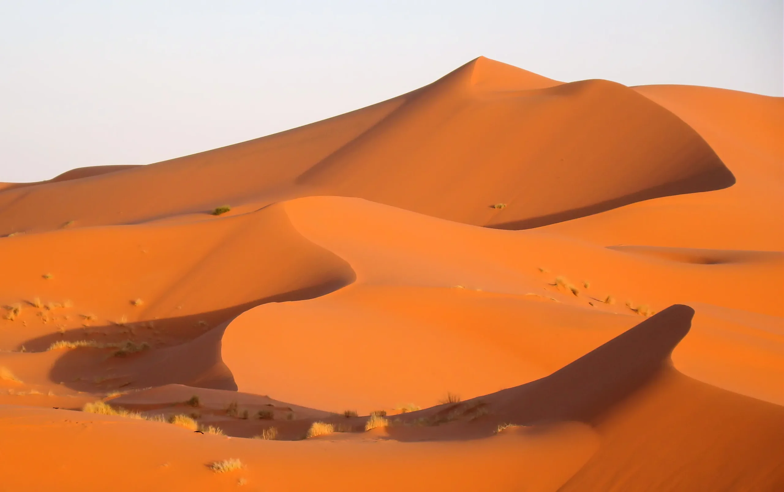 Rolling golden sand dunes of Erg Chebbi near Merzouga under a clear blue sky.